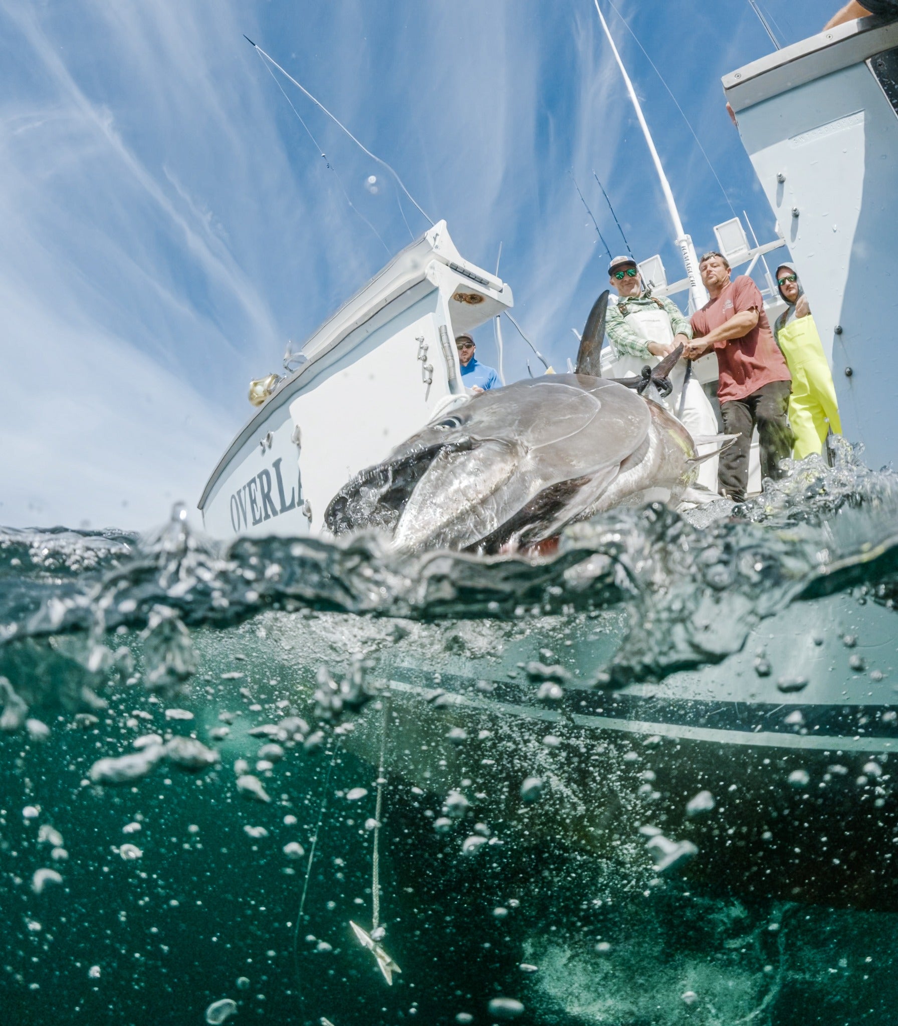 Fishing crew bringing a tuna alongside their boat, photographed at the waterline