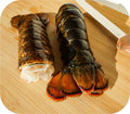 Lobster Tail (2 Count)