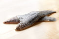 Black Sea Bass (10lb)