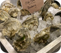 Oyster Special