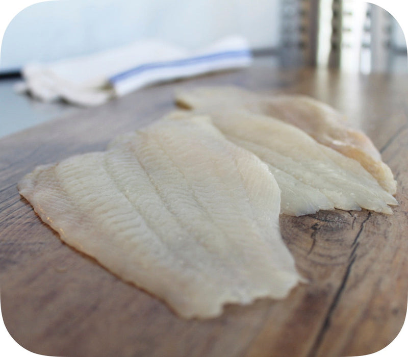 Flounder (10lb)