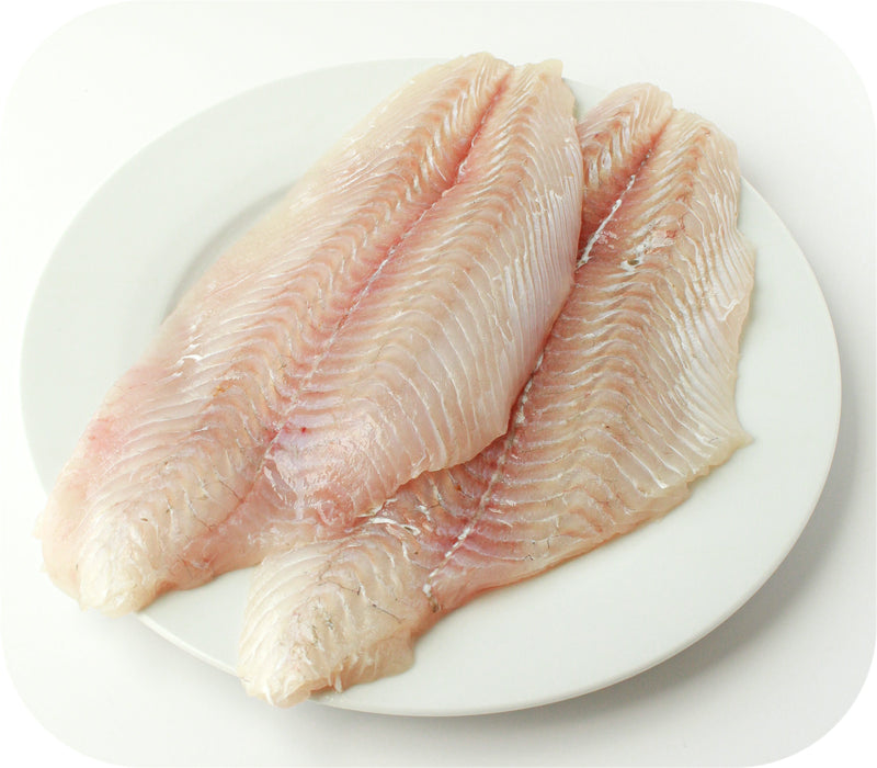 Fluke 1lb