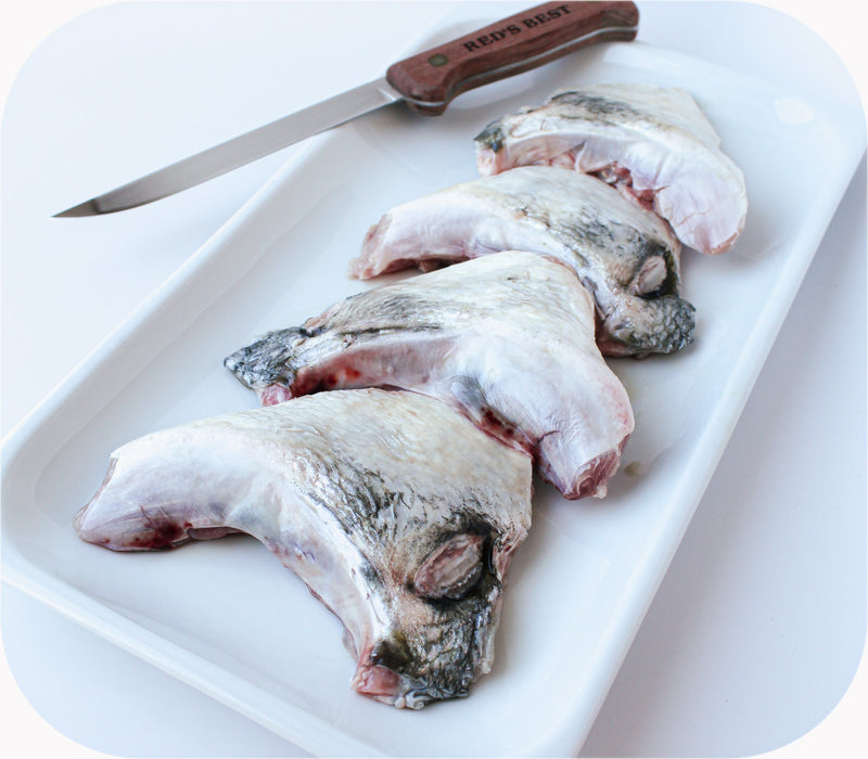 Bluefish Collar 1lb