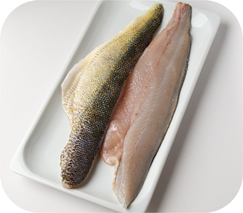 Walleye 1lb