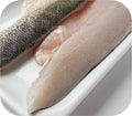 Walleye 1lb