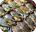 Soft Shell Crabs (2 Count)