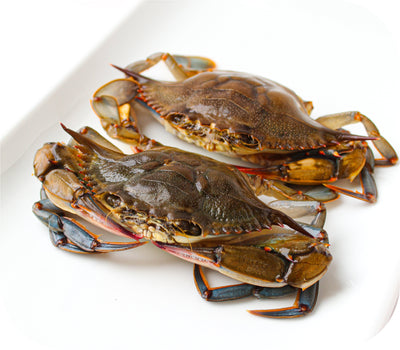 Soft Shell Crabs (2 Count)