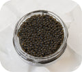 Caviar- Spoonbill (30g)