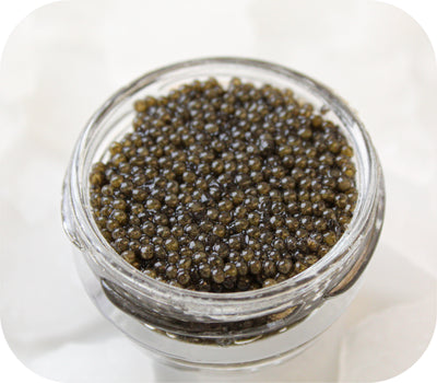 Caviar- Spoonbill (30g)