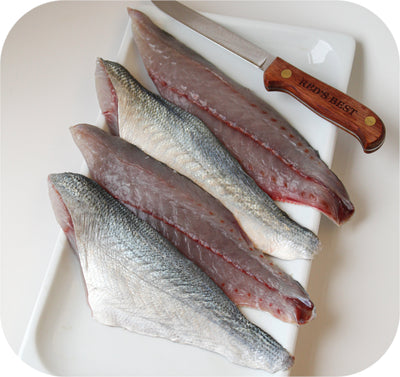 Bluefish 1lb