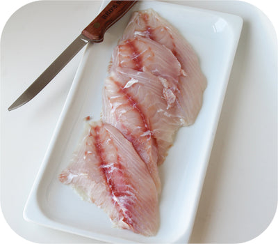Triggerfish - New England 1lb