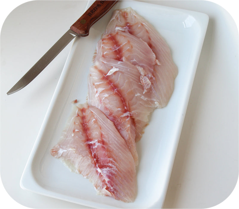 Triggerfish - New England 1lb