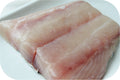 Porbeagle Shark 1lb