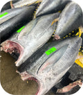 Yellowfin Tuna Loin 1lb