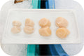 U10 Sea Scallops - Dry Packed 1lb