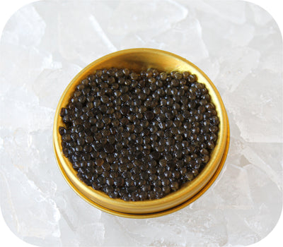 Caviar- Giaveri Osetra (30g)