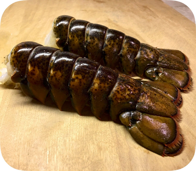New England Lobster Tails