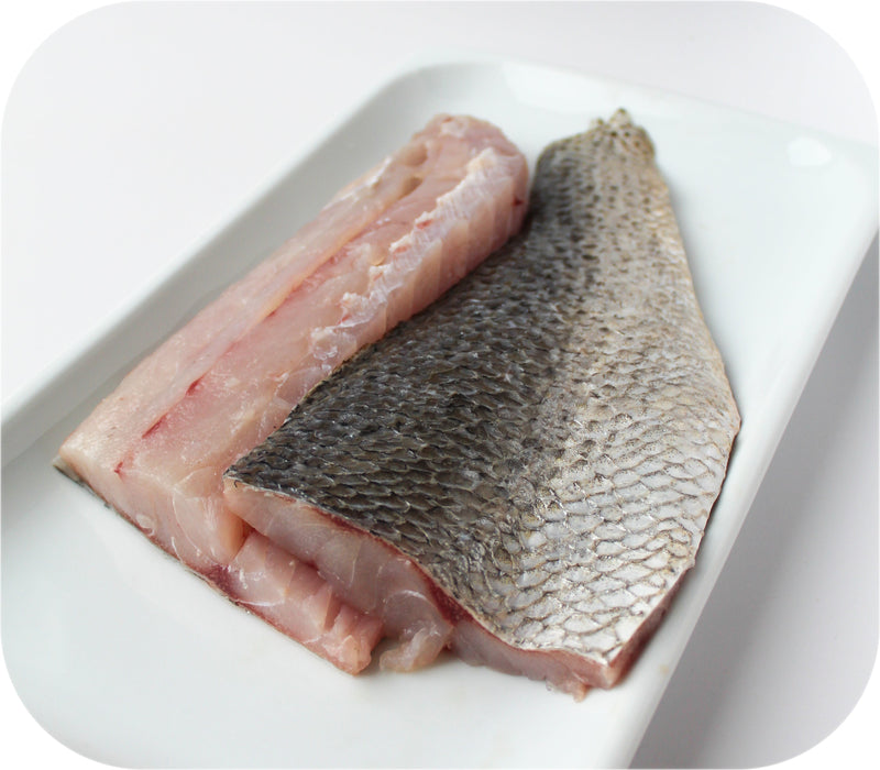 Weakfish / Speckled Sea Trout 1lb