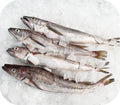 Atlantic Whiting 1lb