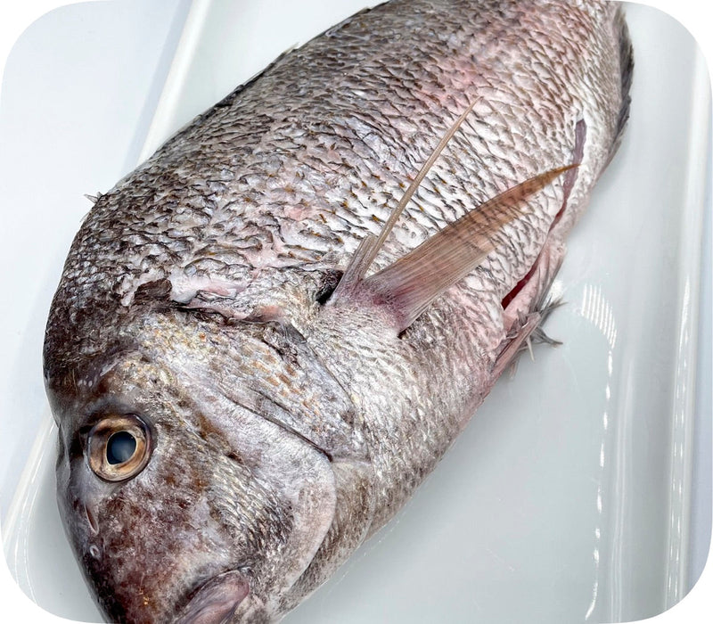 Scup Whole