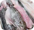 Black Sea Bass 1lb