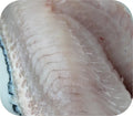 Tautog / Blackfish 1lb