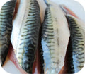 Boston Mackerel 1lb