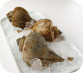 Conch Meat (Cooked) White Fish