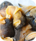 Conch Meat (Cooked) White Fish