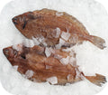 Grey Sole 1lb