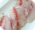 Triggerfish - New England 1lb