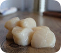 Sea Scallops - Dry Packed 1lb