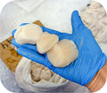 U10 Sea Scallops - Dry Packed 1lb