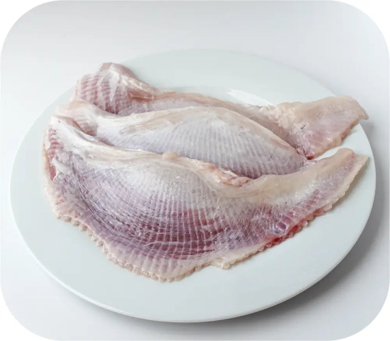 Skate Wing 1lb