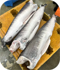Atlantic Swordfish 1lb