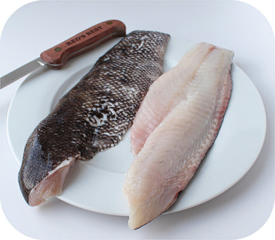 Tautog / Blackfish 1lb