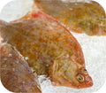 Yellowtail Flounder 1lb