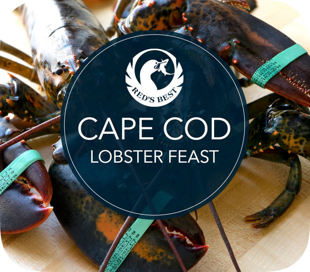 Cape Cod Lobster Feast