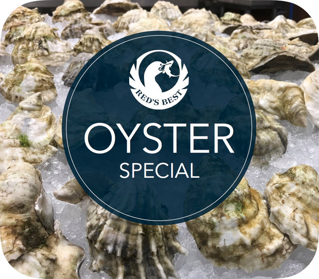 Oyster Special