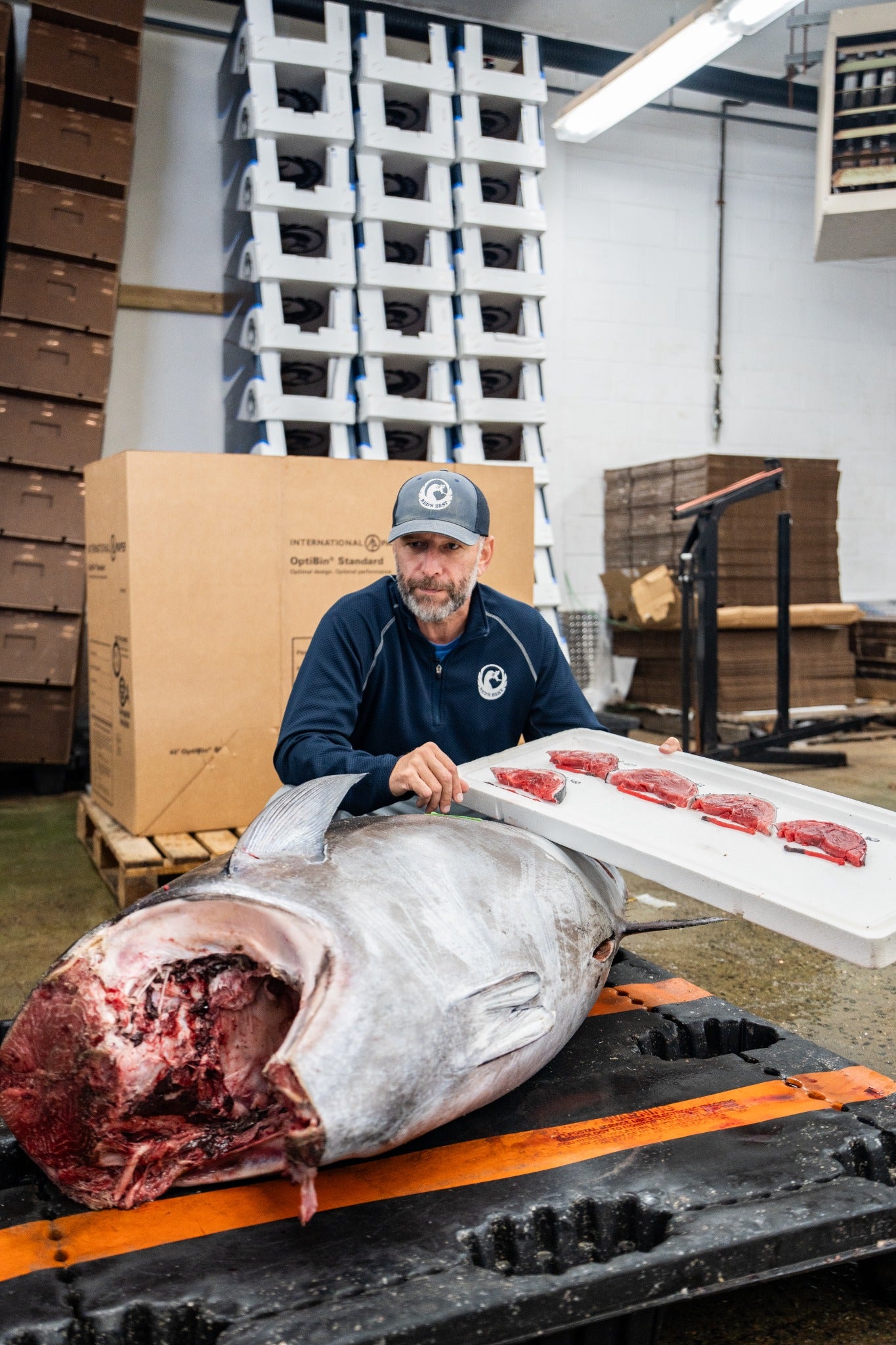 A man beside a bluefin tuna holding a tray of tail-cut samples