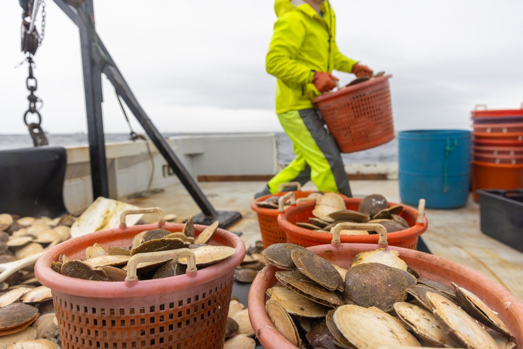 Baskets of scallops aboard a fishing boat as a crew member carries the catch