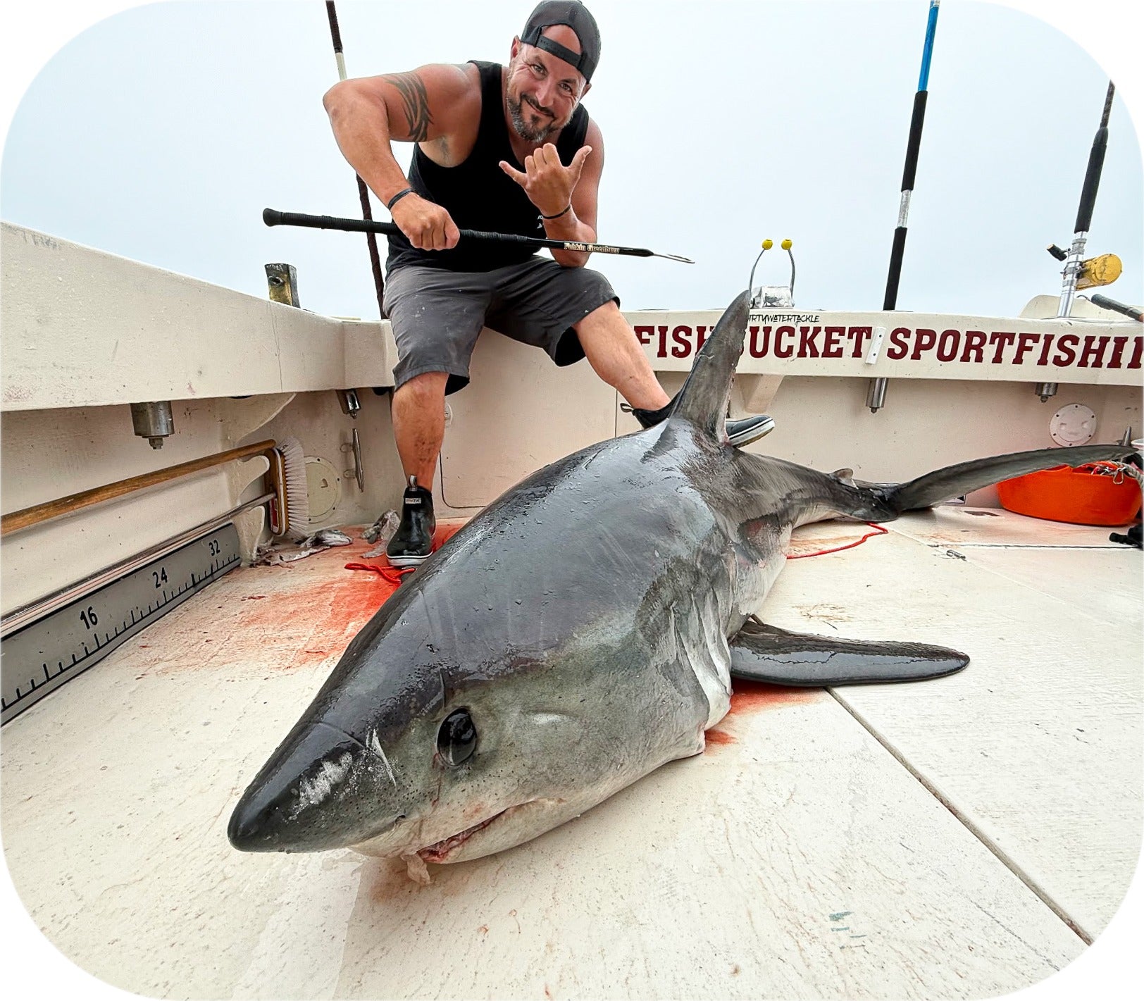 Porbeagle Shark from Red’s Best’s catch photo collection